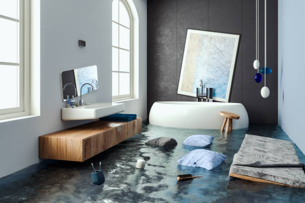 Best Water damage contractors near me  in Coon Rapids, IA