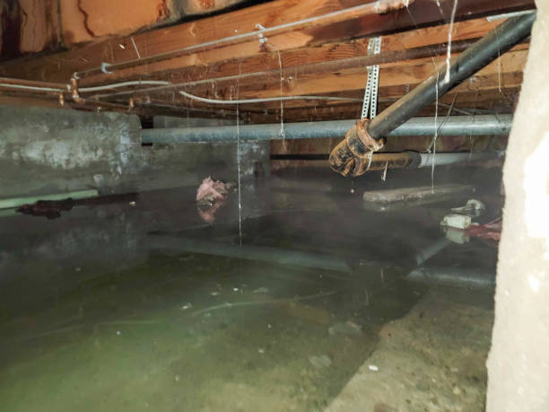 Best Sewage cleanup and water damage restoration  in Coon Rapids, IA