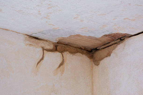 Best Water damage cleanup near me  in Coon Rapids, IA