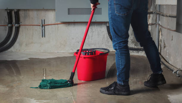 Best Water damage restoration specialists  in Coon Rapids, IA