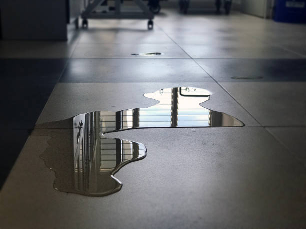 Best Water damage restoration near me  in Coon Rapids, IA
