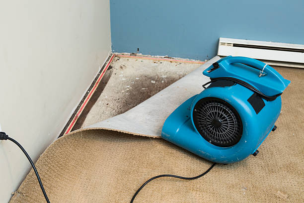 Trusted IA Water damage restoration Experts